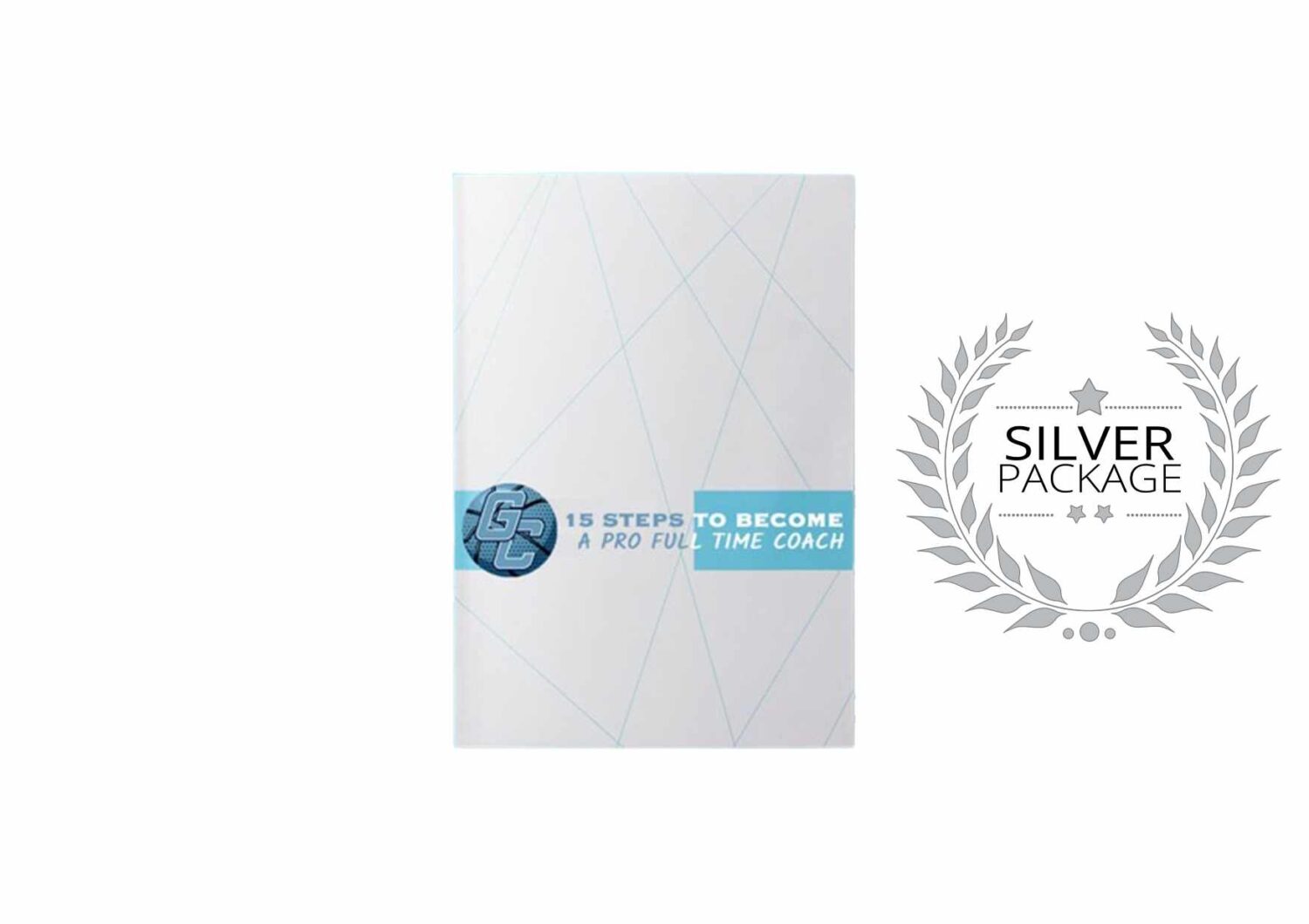 15 Steps to become a Pro Full Time Coach - Silver Pro Career Package ...